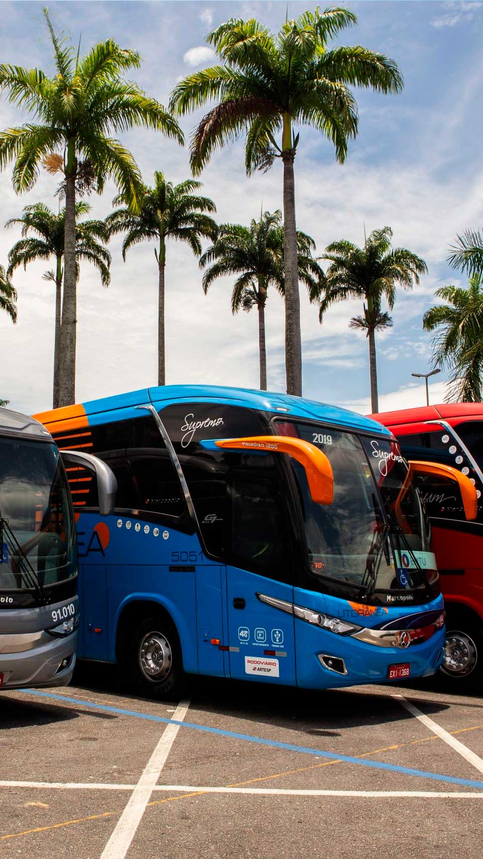 Viação Pássaro Marrom Litorânea - Como chegar em Ilhabela de ônibus saindo de São Paulo