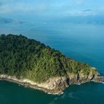 Conheça os vencedores das regatas longas da Semana de Vela 2024