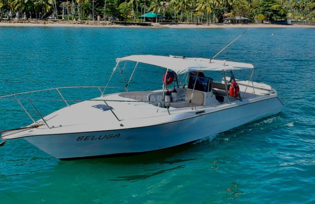 Lancha Beluga BRM 31 - Acessibilidade para Descobrir Ilhabela pelo Mar - Ferrara Ilhabela - Aluguel de Lanchas para passeios privativos em Ilhabela
