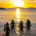 Mergulho em Lugares Secretos em Ilhabela - Secret Points Diving - Aquáticos Operadora de Mergulho
