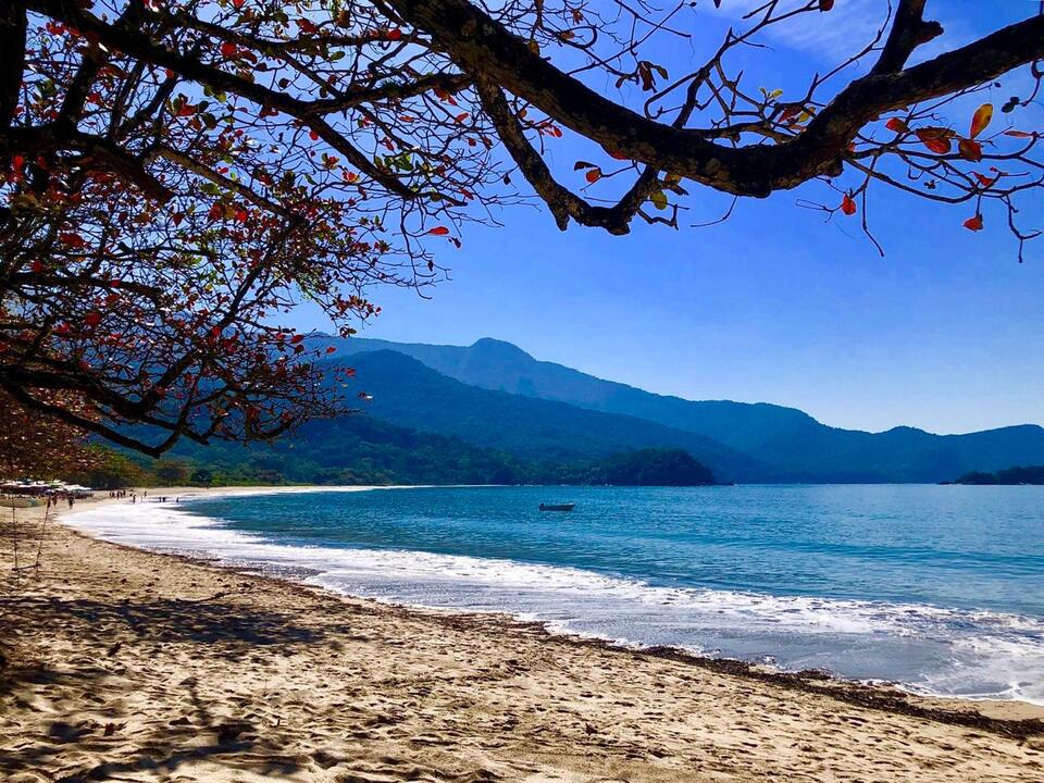 Praia de Castelhanos em Ilhabela (Foto: Acervo Ilhabela.com.br)