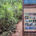 Destino de Ecoturismo: Ilhabela investe na estruturação de seus atrativos naturais
