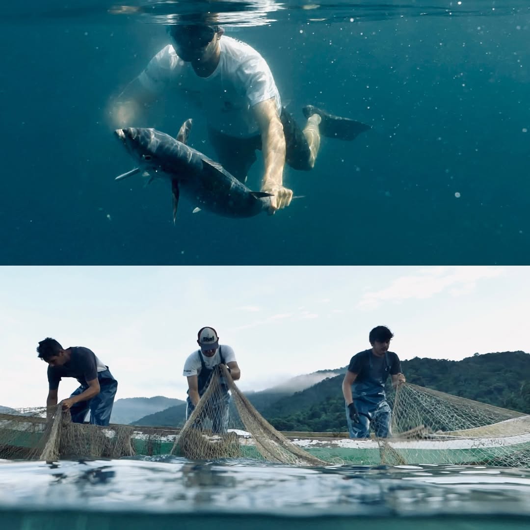 Prefeitura de Ilhabela promove sessão especial do Cine Villa Bella & Clube com exibição do documentário "Sabores da Sobrevivência", sobre pesca artesanal no Bonete