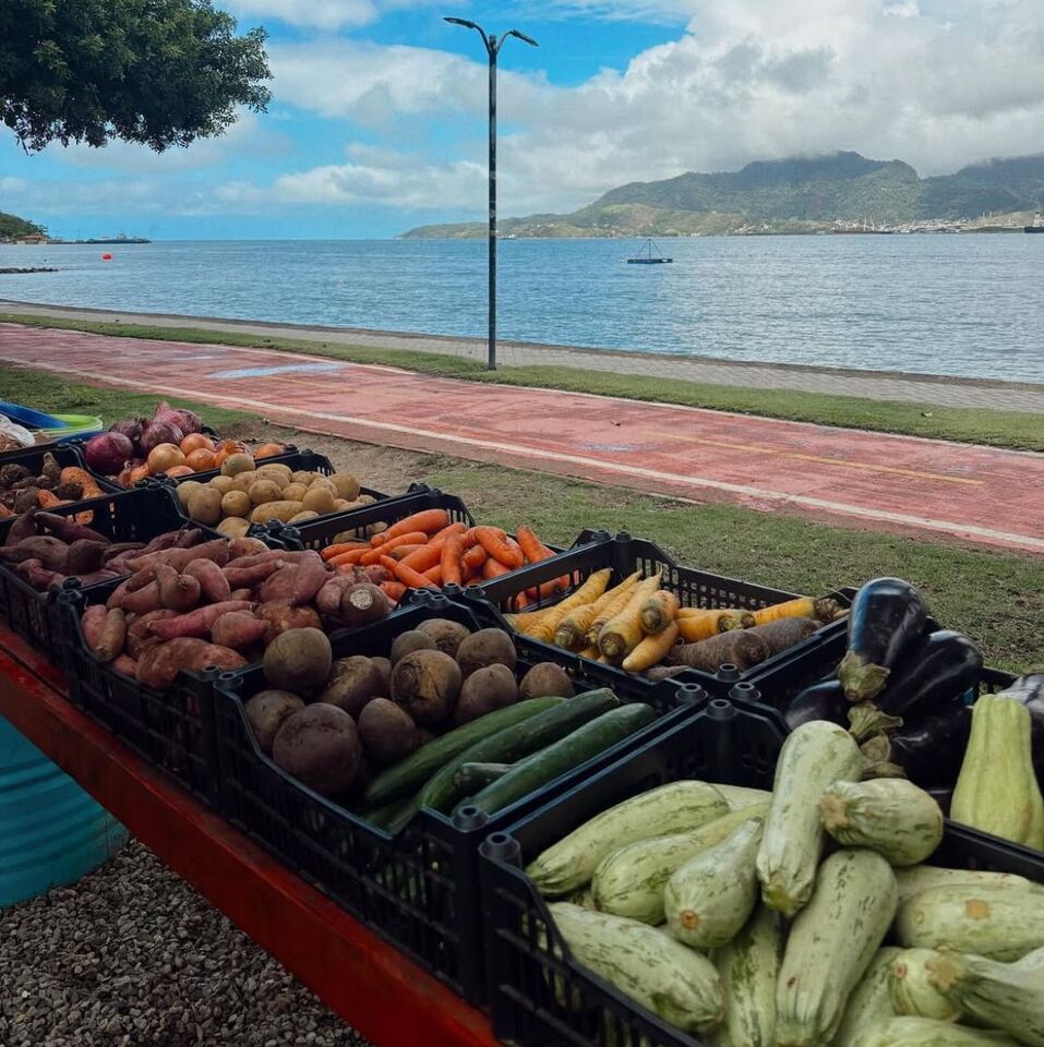 Alimentação orgânica - Os 9 hábitos das Blue Zones e como Ilhabela pode te inspirar a vivê-los - Gabriela Lessi para Ilhabela.com.br