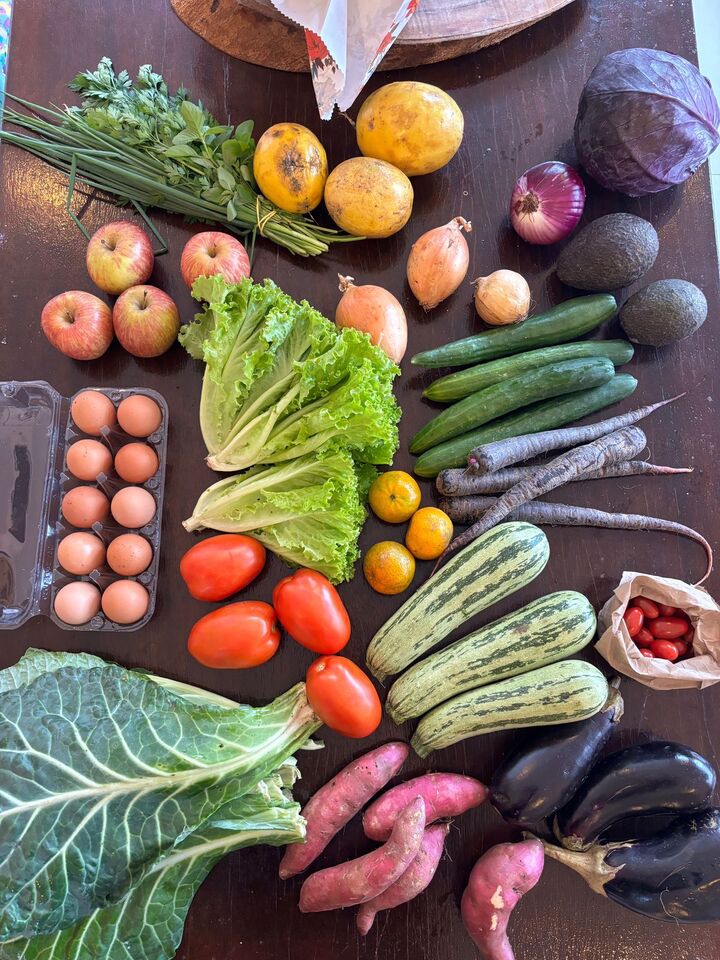 Alimentos orgânicos - Gabi Lessi - Ilhabela.com.br