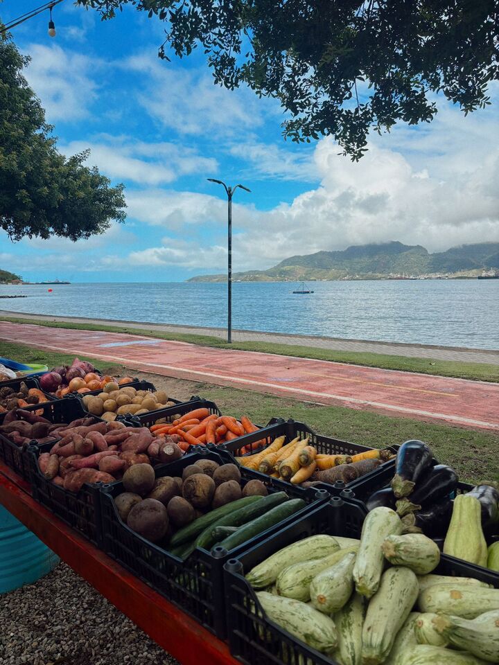 Feira de alimentos orgânicos em Ilhabela - Gabi Lessi - Ilhabela.com.br