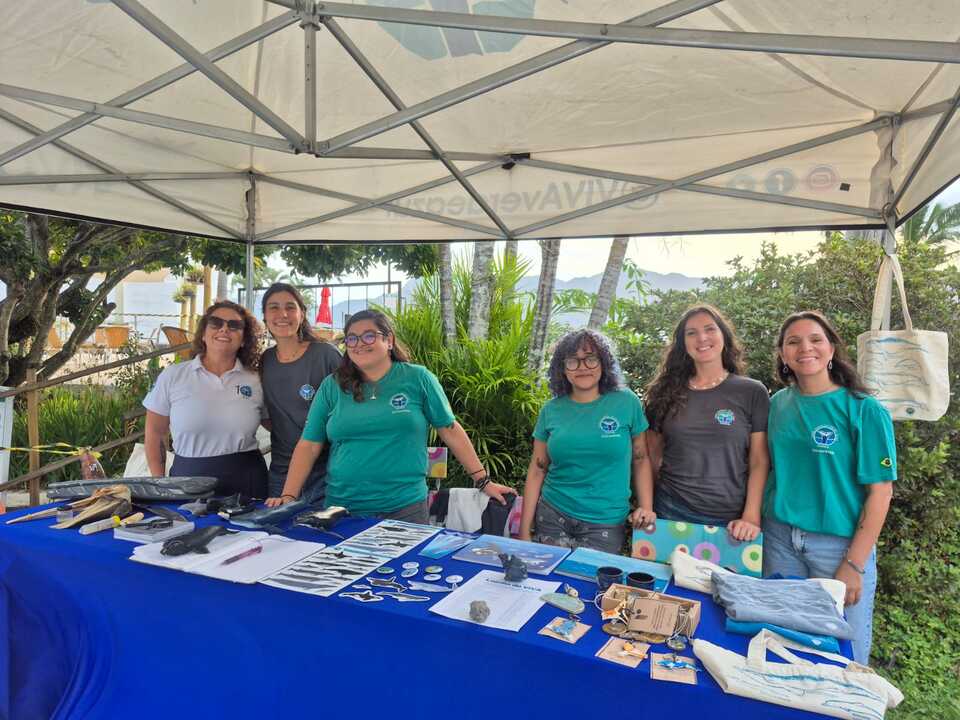 Instituto Verde Azul aproximou os visitantes do Forró na Ilha do universo das baleias e golfinhos que passam por Ilhabela