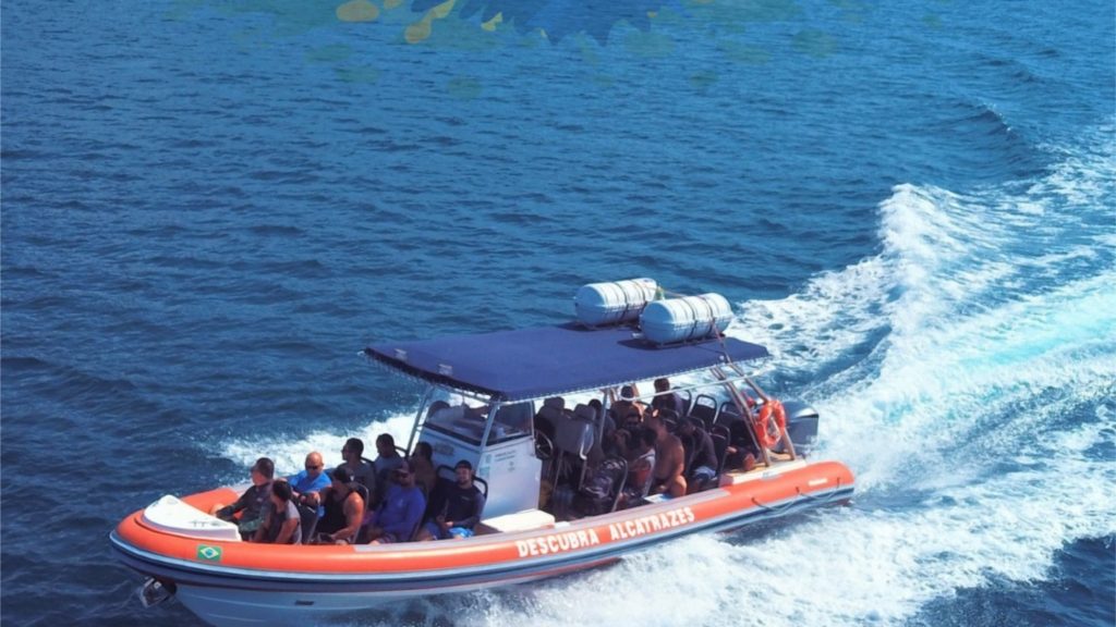 Passeio em Ilhabela para avistamento de baleias com a Maremar Turismo